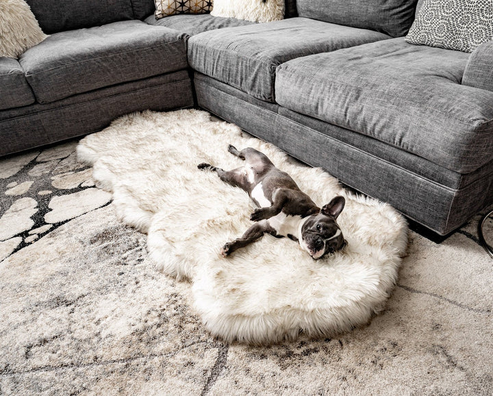 PupRug® Runner Faux Fur Memory Foam Dog Bed - Curve White with Brown Accents - One Size (72" L x 28" W) - Dog Beds by Paw.com