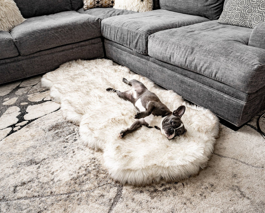 PupRug® Runner Faux Fur Memory Foam Dog Bed - Curve White with Brown Accents - One Size (72" L x 28" W) - Dog Beds by Paw.com