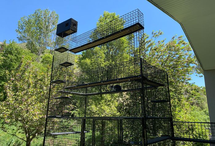 K9 Kennel Store 11-Piece Backyard Jungle - - Catio by K9 Kennel Store