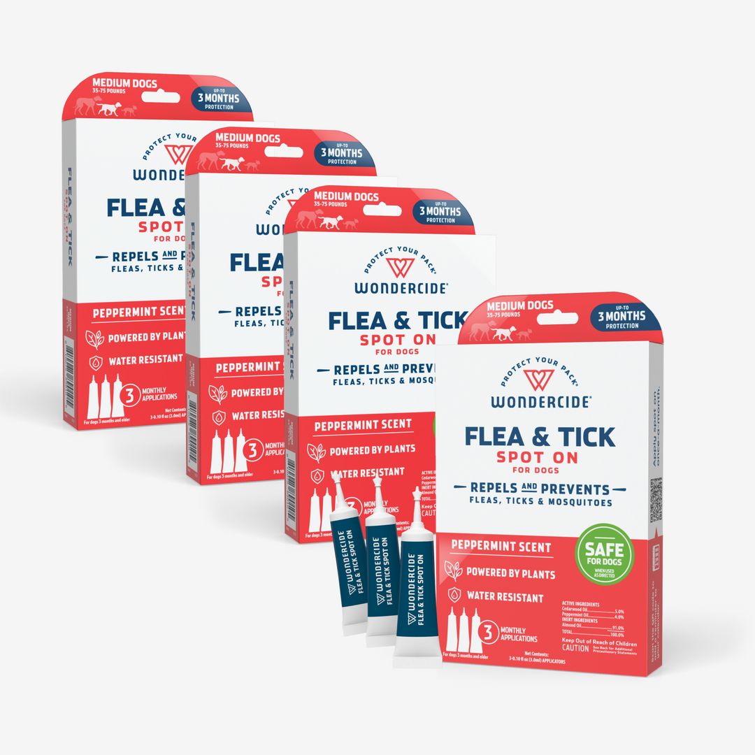 12-Month Flea & Tick Spot On for Dogs + Cats - Medium Dog - sale by Wondercide