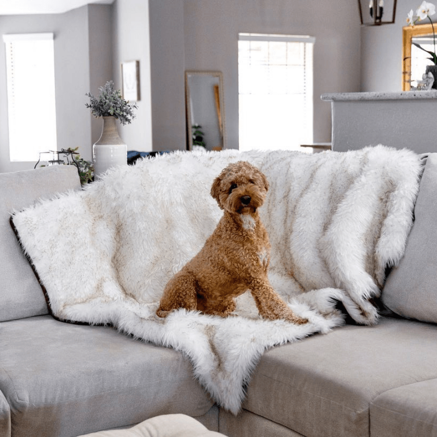 PupProtector™ Waterproof Throw Blanket - White with Brown Accents - - Dog Blanket by Paw.com
