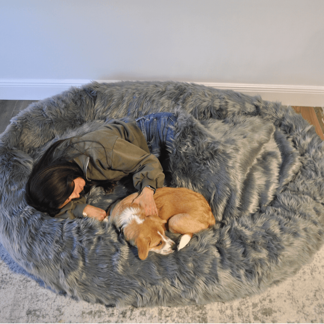 PupCloud™ Human-Size Faux Fur Memory Foam Dog Bed - Charcoal Grey - - by Paw.com