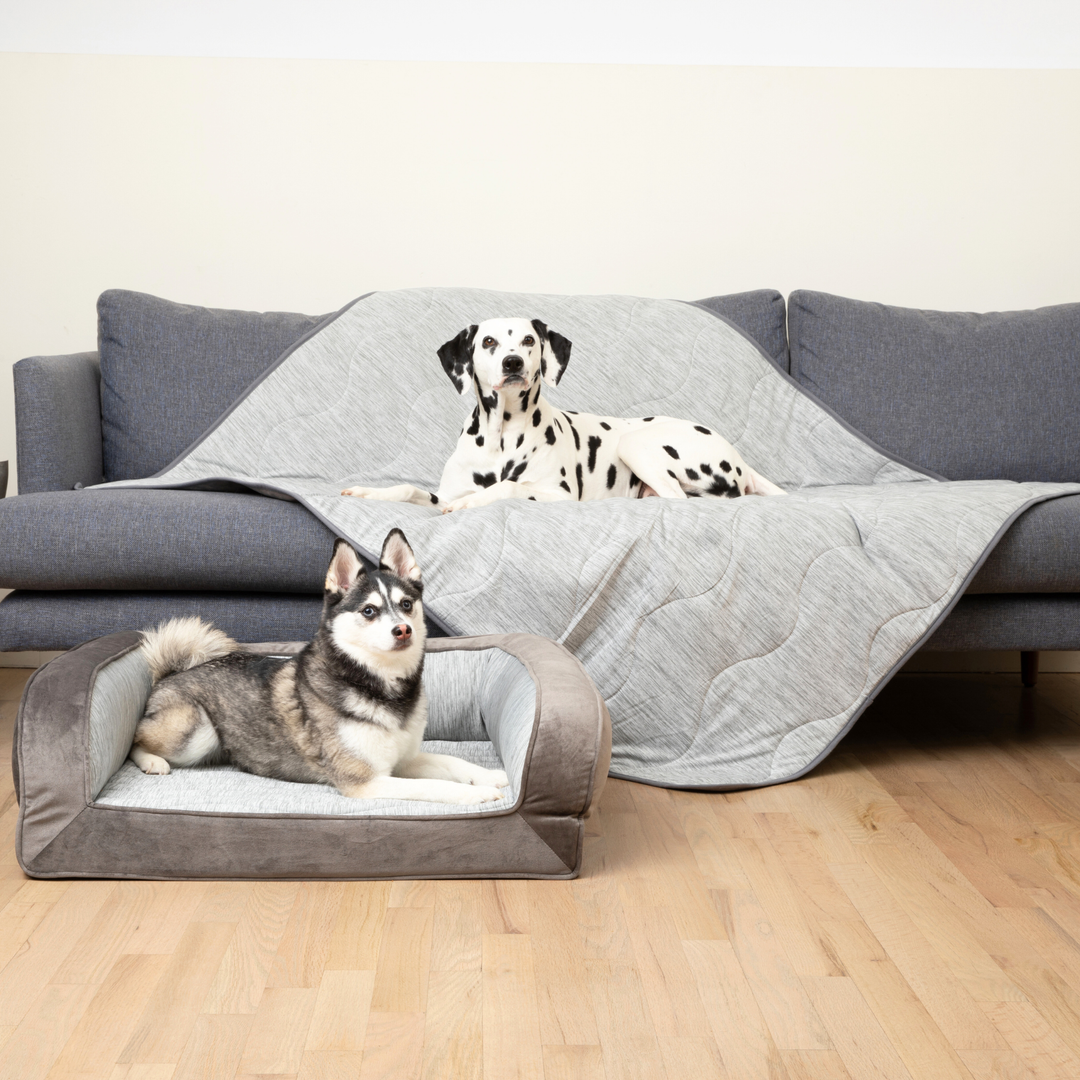 PupChill™ Cooling Bolster Dog Bed + Waterproof Blanket Bundle - Arctic Grey - Medium Bed (29" L x 24" W) + Original Blanket (50" L x 60" W) - by Paw.com