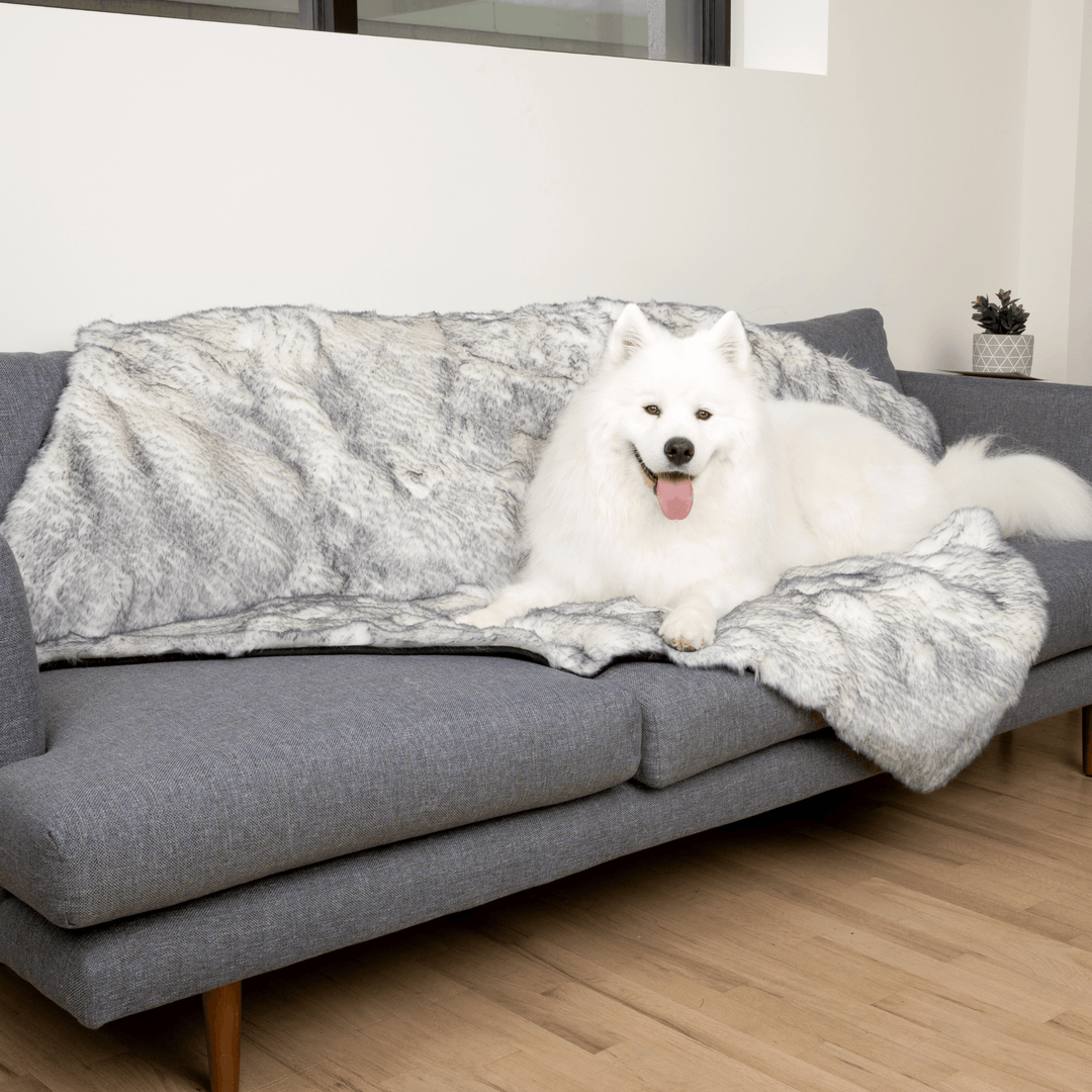 PupProtector™ Luxe Waterproof Faux Fur Blanket - Ultra Plush Arctic Fox - - Dog Blanket by Paw.com