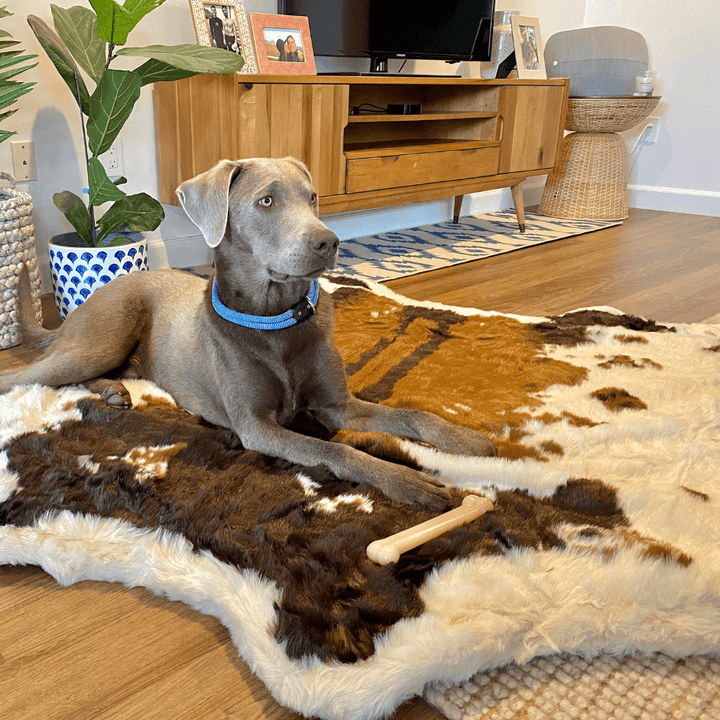 PupRug® Animal Print Memory Foam Dog Bed - Brown Faux Cowhide - - Dog Beds by Paw.com