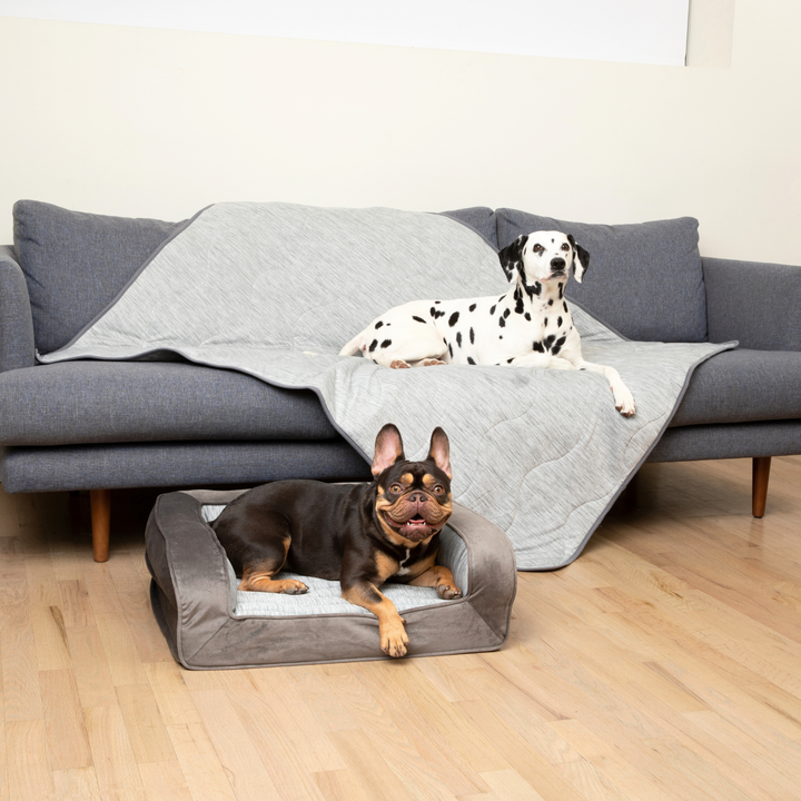PupChill™ Cooling Bolster Dog Bed + Waterproof Blanket Bundle - Arctic Grey - Small Bed (24" L x 20" W) + Original Blanket (50" L x 60" W) - by Paw.com