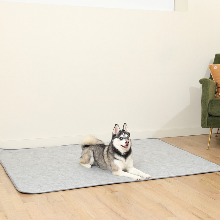 PupChill™ Cooling Waterproof Blanket - Arctic Grey - - by Paw.com