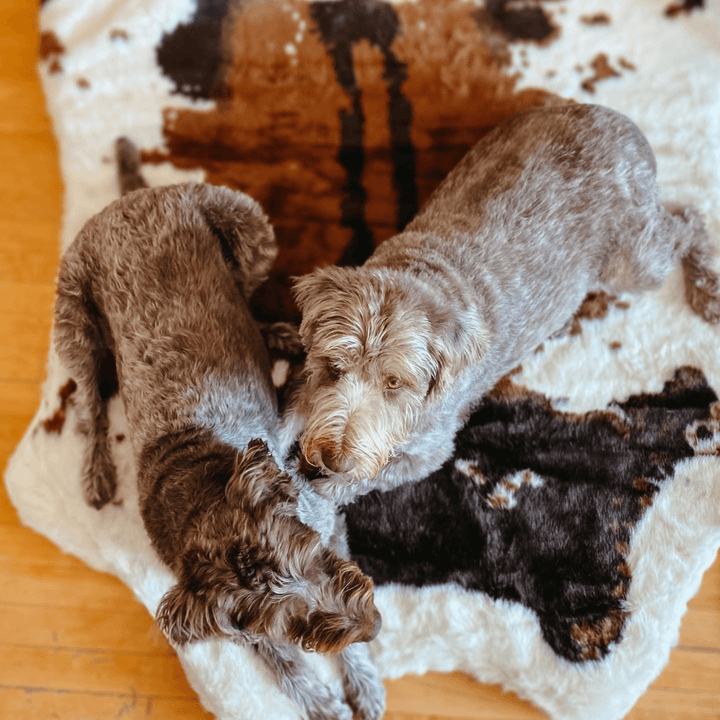 PupRug® Animal Print Memory Foam Dog Bed - Brown Faux Cowhide - - Dog Beds by Paw.com