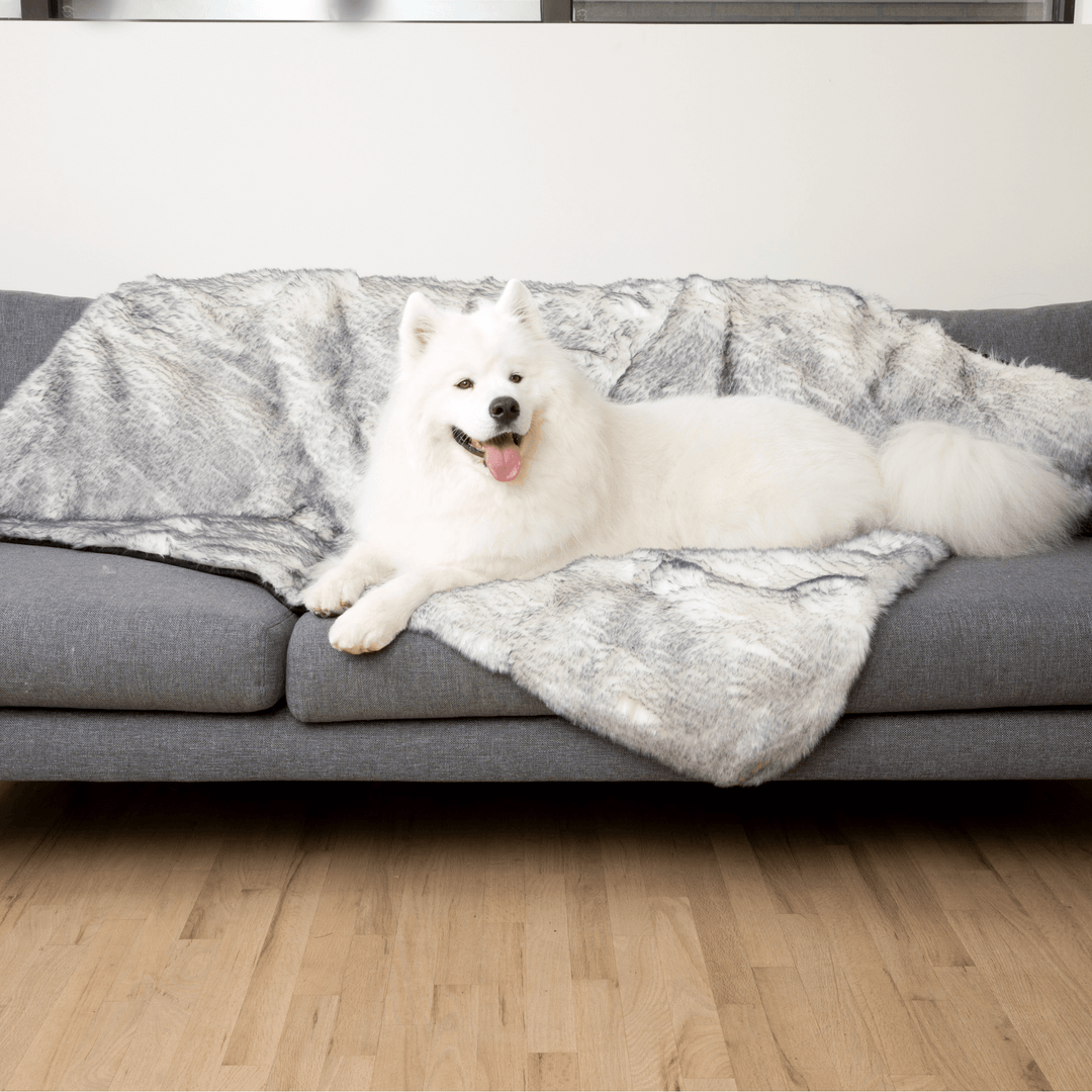 PupProtector™ Luxe Waterproof Faux Fur Blanket - Ultra Plush Arctic Fox - - Dog Blanket by Paw.com