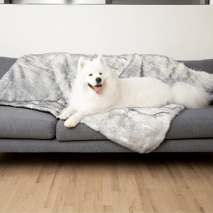 PupProtector™ Luxe Waterproof Faux Fur Blanket - Ultra Plush Arctic Fox - - Dog Blanket by Paw.com
