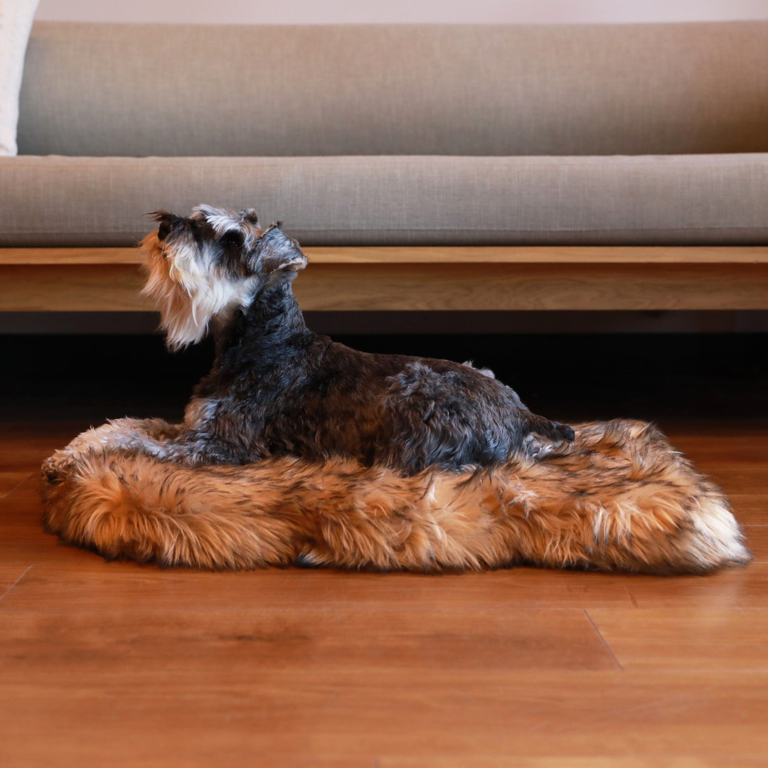 PupRug by Paw.com® Faux Fur Orthopedic Dog Bed - Curve Sable Tan - - Dog Beds by Paw.com