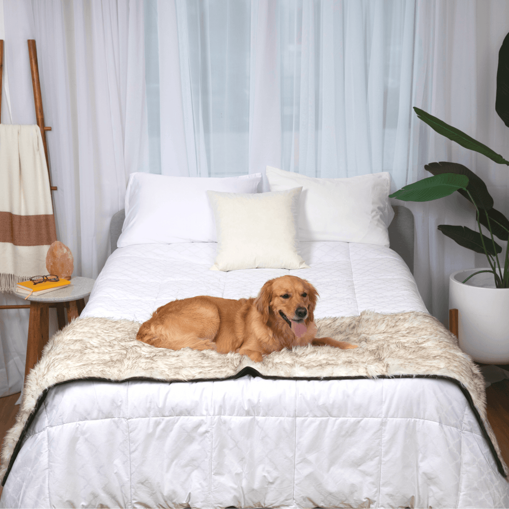 PupProtector™ Waterproof Bed Runner - White with Brown Accents - - Dog Blanket by Paw.com