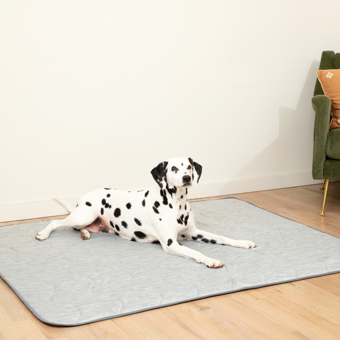 PupChill™ Cooling Waterproof Blanket - Arctic Grey - - by Paw.com