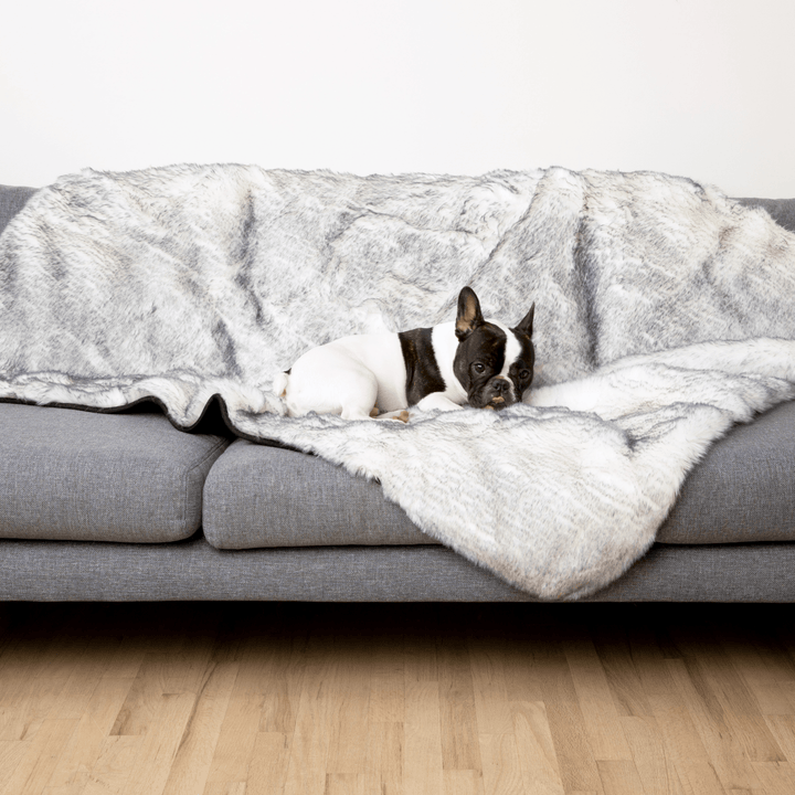 PupProtector™ Luxe Waterproof Faux Fur Blanket - Ultra Plush Arctic Fox - - Dog Blanket by Paw.com