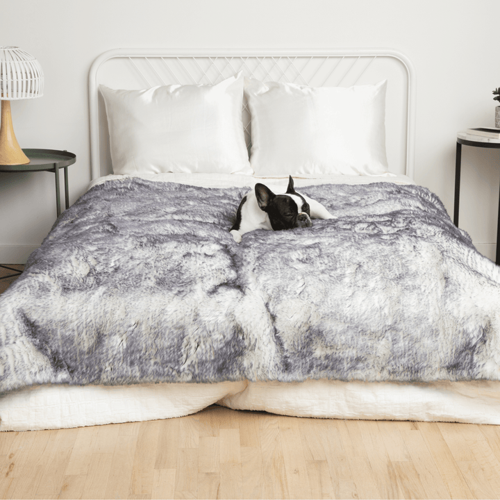 PupProtector™ Luxe Waterproof Faux Fur Blanket - Ultra Plush Arctic Fox - Large (80"L X 62"W) - Dog Blanket by Paw.com