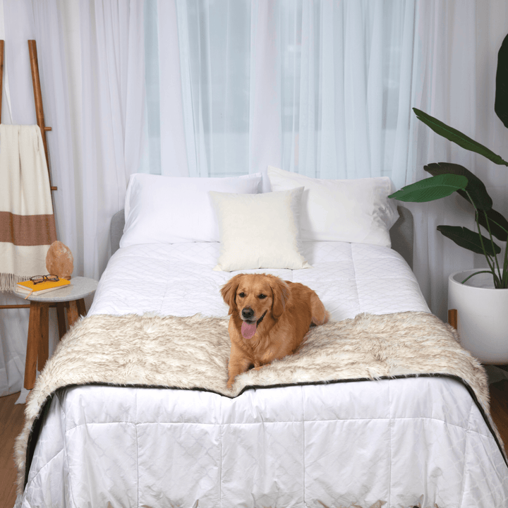 PupProtector™ Waterproof Bed Runner - White with Brown Accents - - Dog Blanket by Paw.com