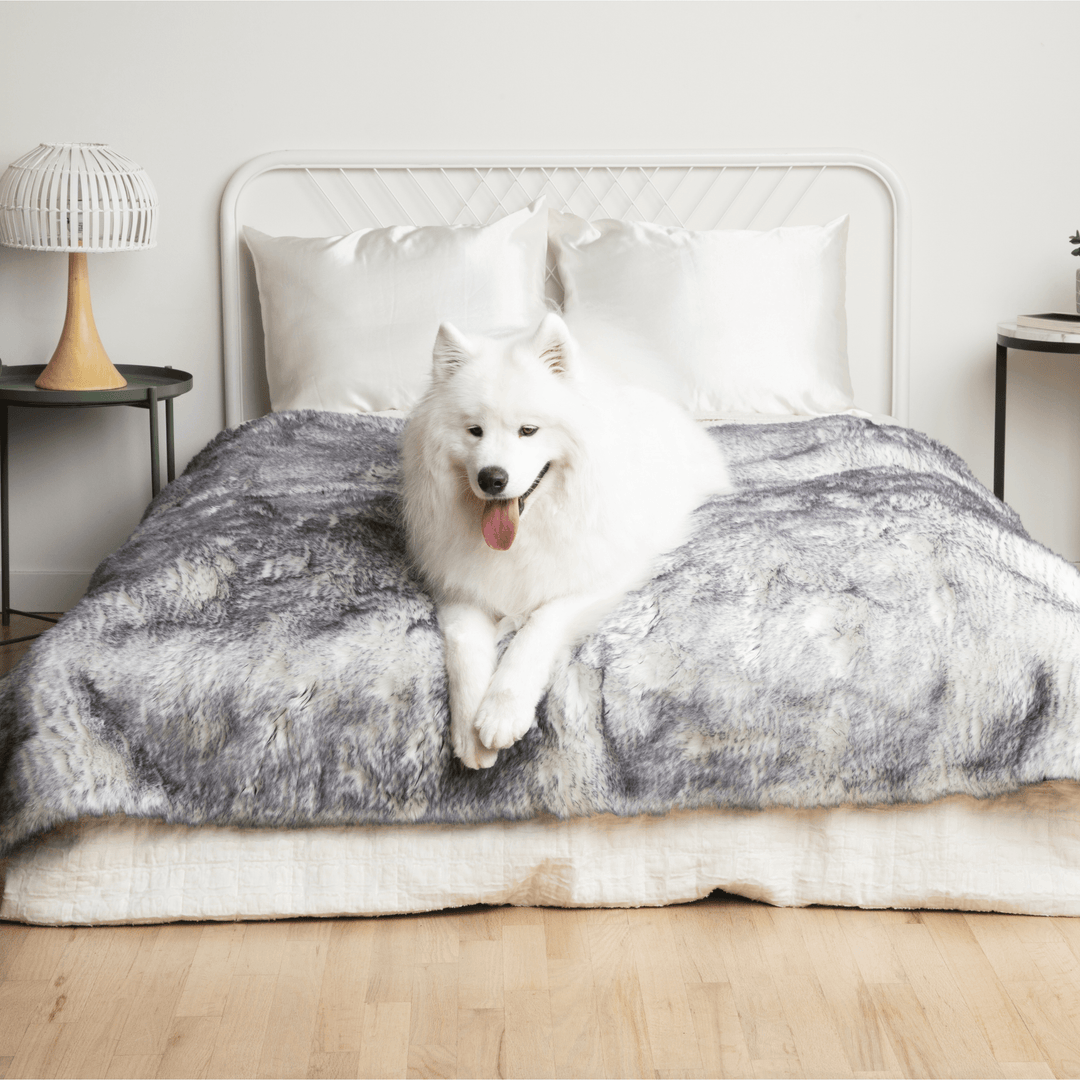 PupProtector™ Luxe Waterproof Faux Fur Blanket - Ultra Plush Arctic Fox - - Dog Blanket by Paw.com