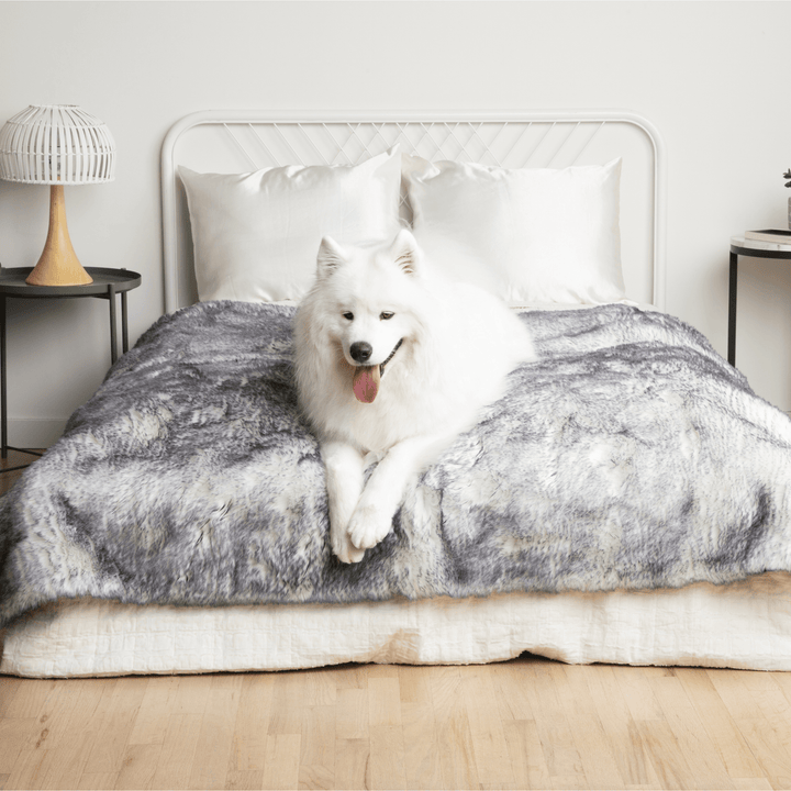 PupProtector™ Luxe Waterproof Faux Fur Blanket - Ultra Plush Arctic Fox - - Dog Blanket by Paw.com