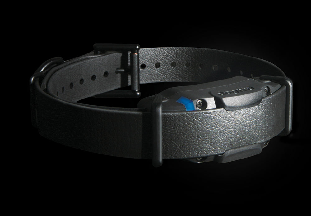 Dogtra 1900S Black Edition Training Collar - - Training collars by Dogtra