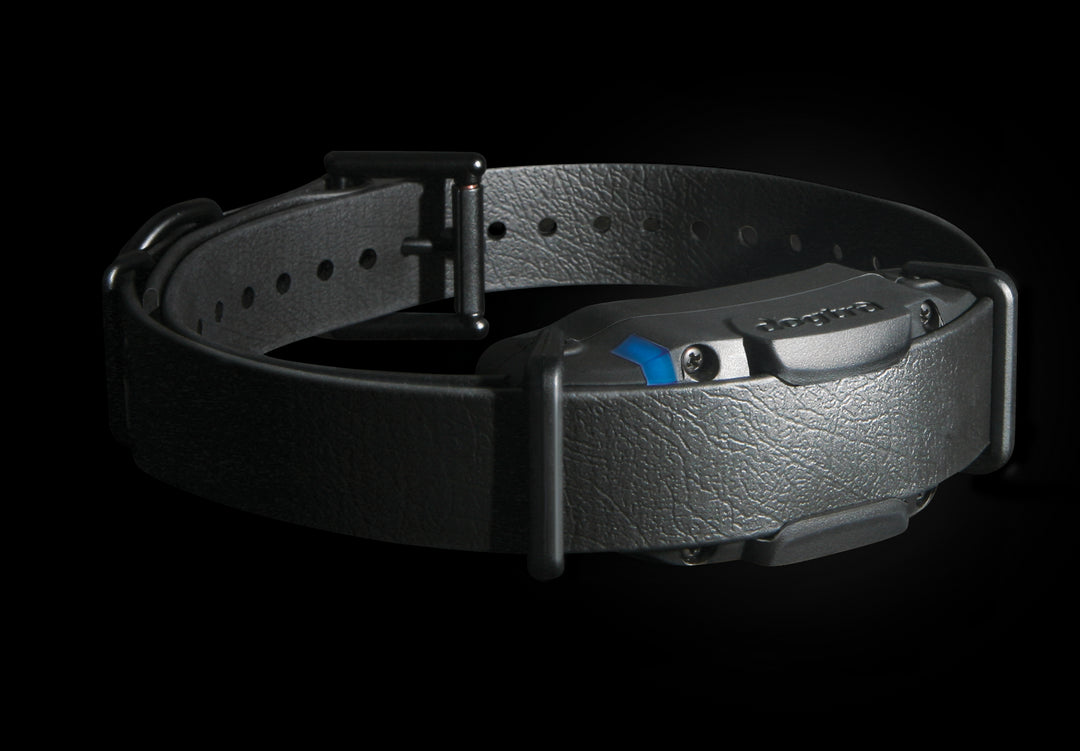 Dogtra 1900S Black Edition Training Collar - - Training collars by Dogtra