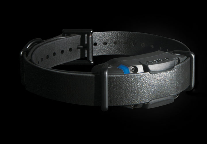 Dogtra 1900S Black Edition Training Collar - - Training collars by Dogtra