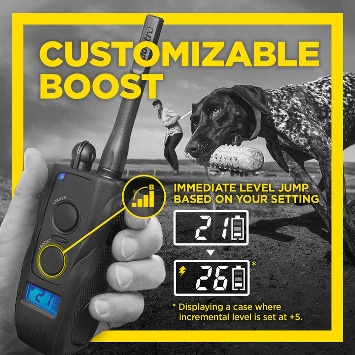 Dogtra 1900S Black Edition Boost & Lock E-Collar - - by Dogtra