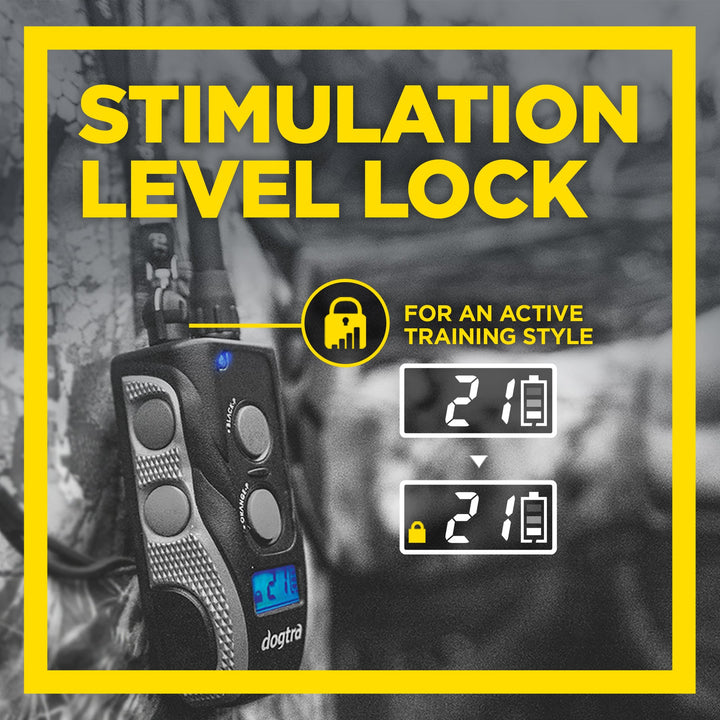 Dogtra 1900S Black Edition Boost & Lock E-Collar - - by Dogtra