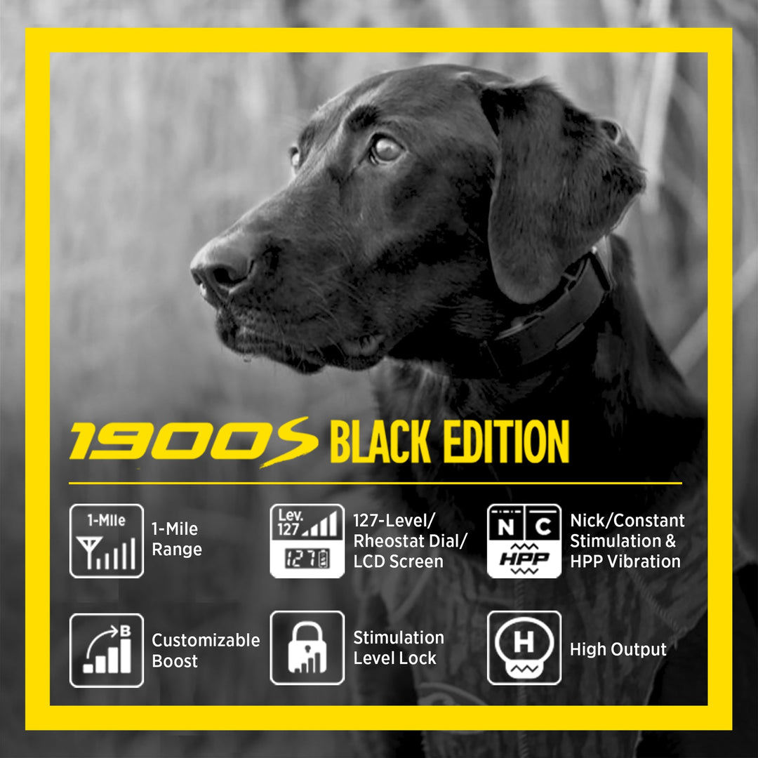 Dogtra 1900S Black Edition Boost & Lock E-Collar - - by Dogtra