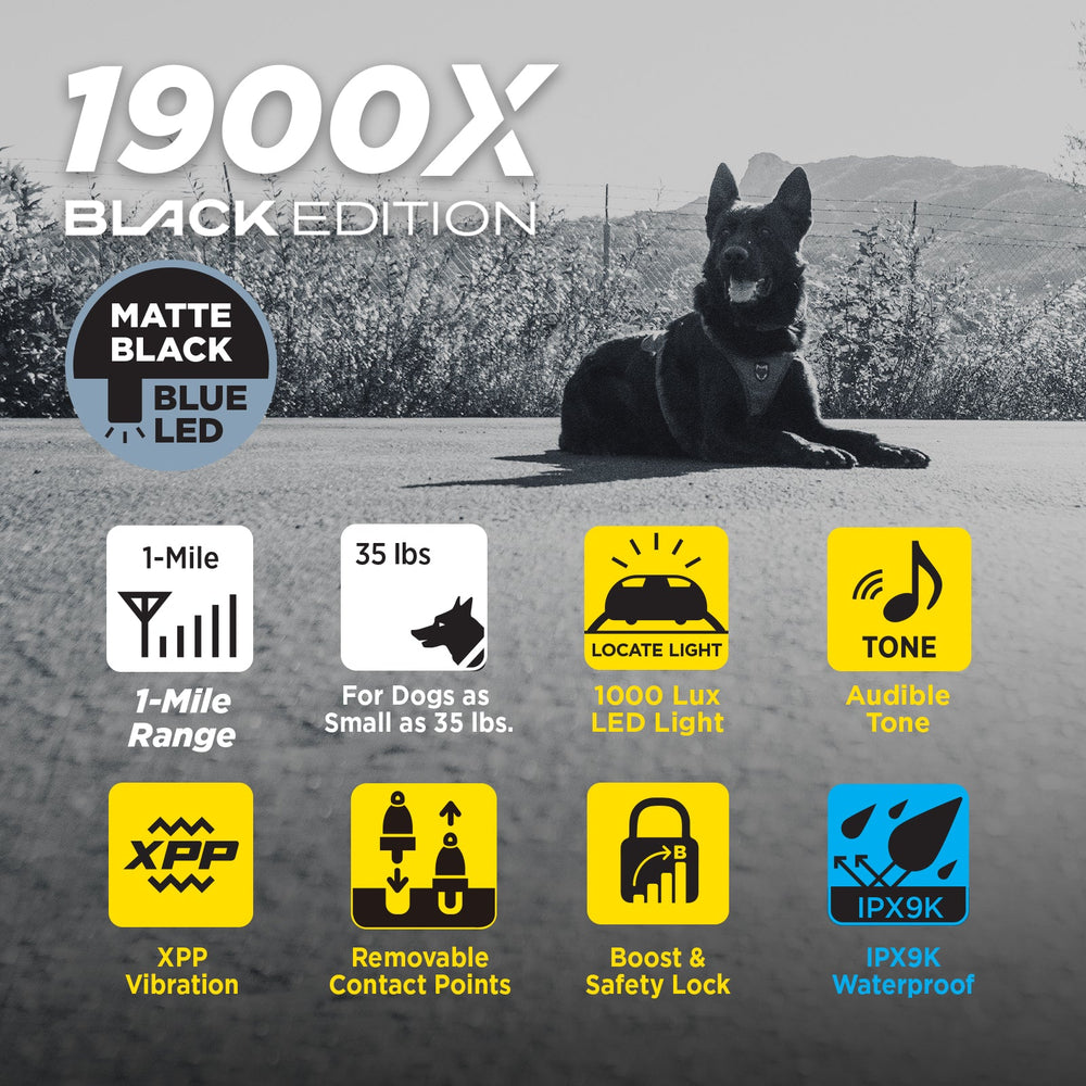 Dogtra 1900X Black Edition Additional Receiver - - by Dogtra