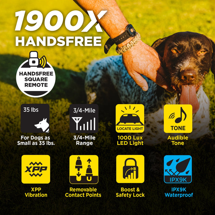 Dogtra 1900X Handsfree 1-Dog Unit É-Collar - - by Dogtra