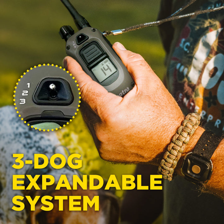 Dogtra 1900X Handsfree 1-Dog Unit É-Collar - - by Dogtra