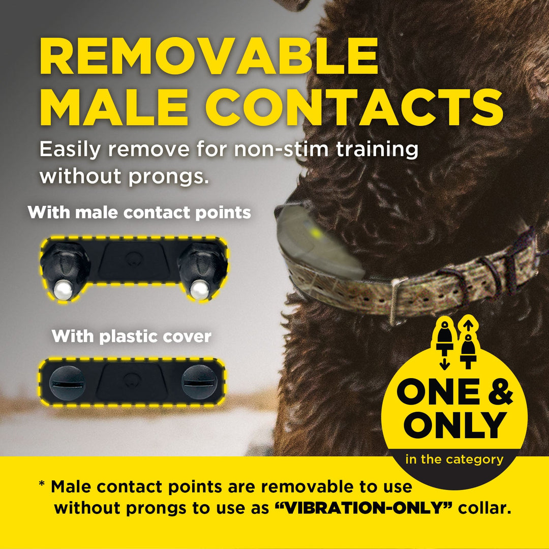 Dogtra 1900X Camouflage Additional Receiver - - by Dogtra