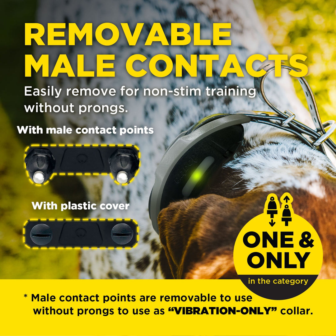 Dogtra 1900X Handsfree 1-Dog Unit É-Collar - - by Dogtra