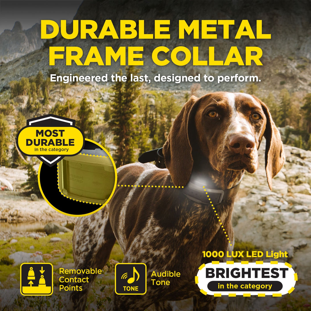 Dogtra 1900X Handsfree 1-Dog Unit É-Collar - - by Dogtra