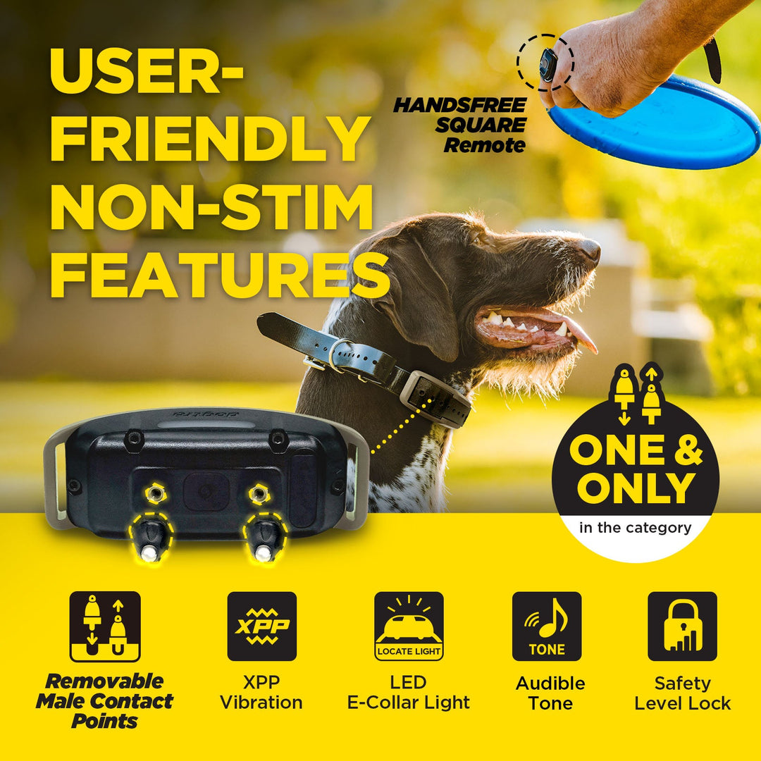 Dogtra 1900X Handsfree 1-Dog Unit É-Collar - - by Dogtra