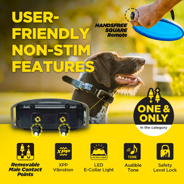 Dogtra 1900X Handsfree 1-Dog Unit É-Collar - - by Dogtra