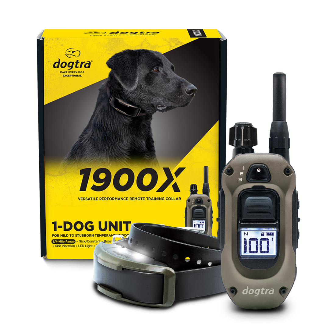 Dogtra 1900X 1-Dog Unit E-Collar - - by Dogtra