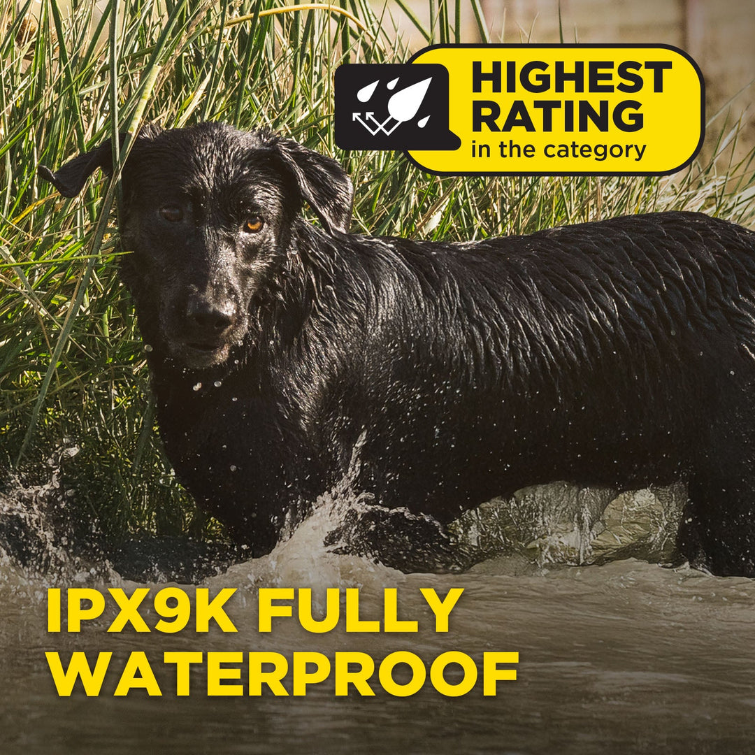 Dogtra 1900X Additional Receiver - - by Dogtra