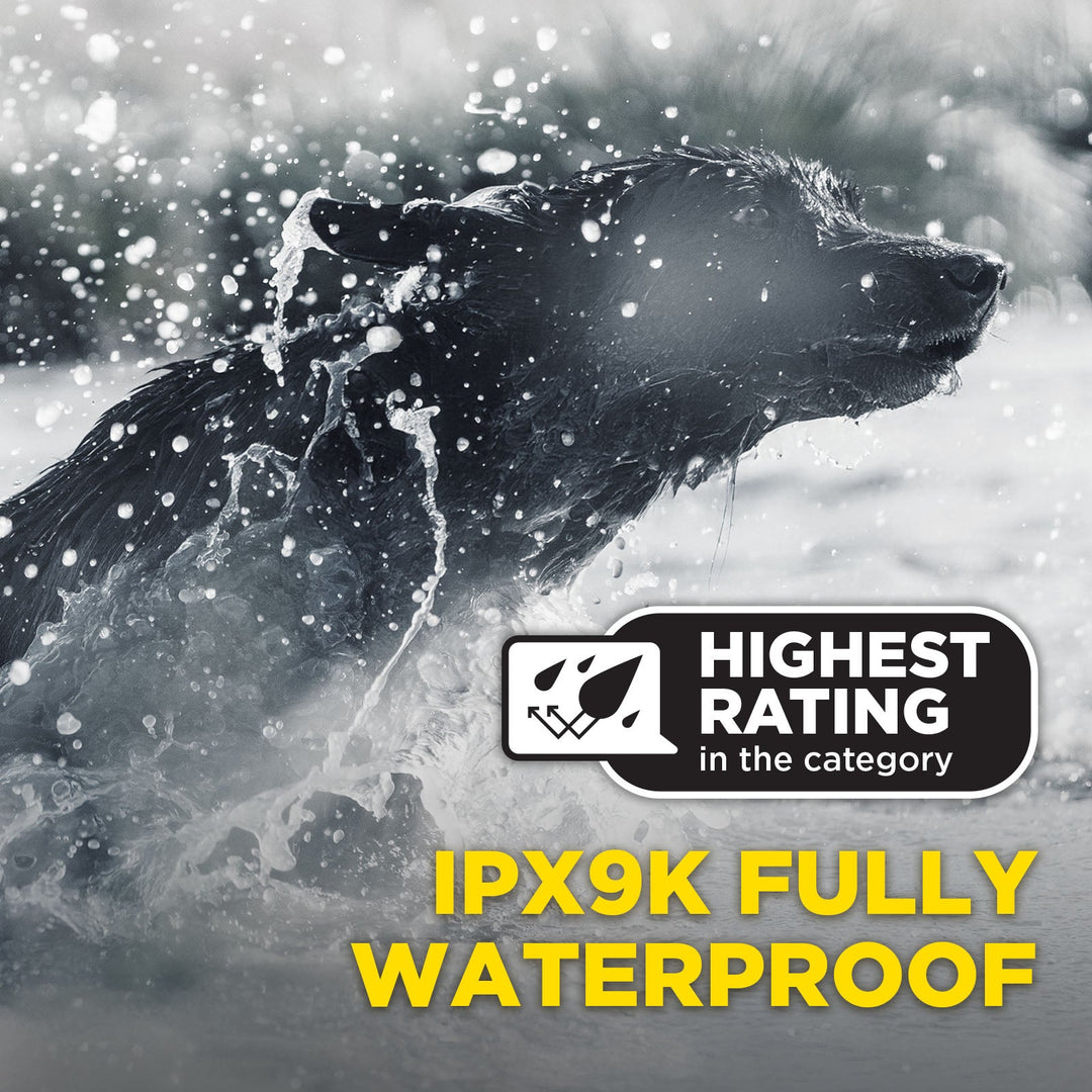 Dogtra 1900X Black Edition 1-Dog Unit E-Collar - - by Dogtra