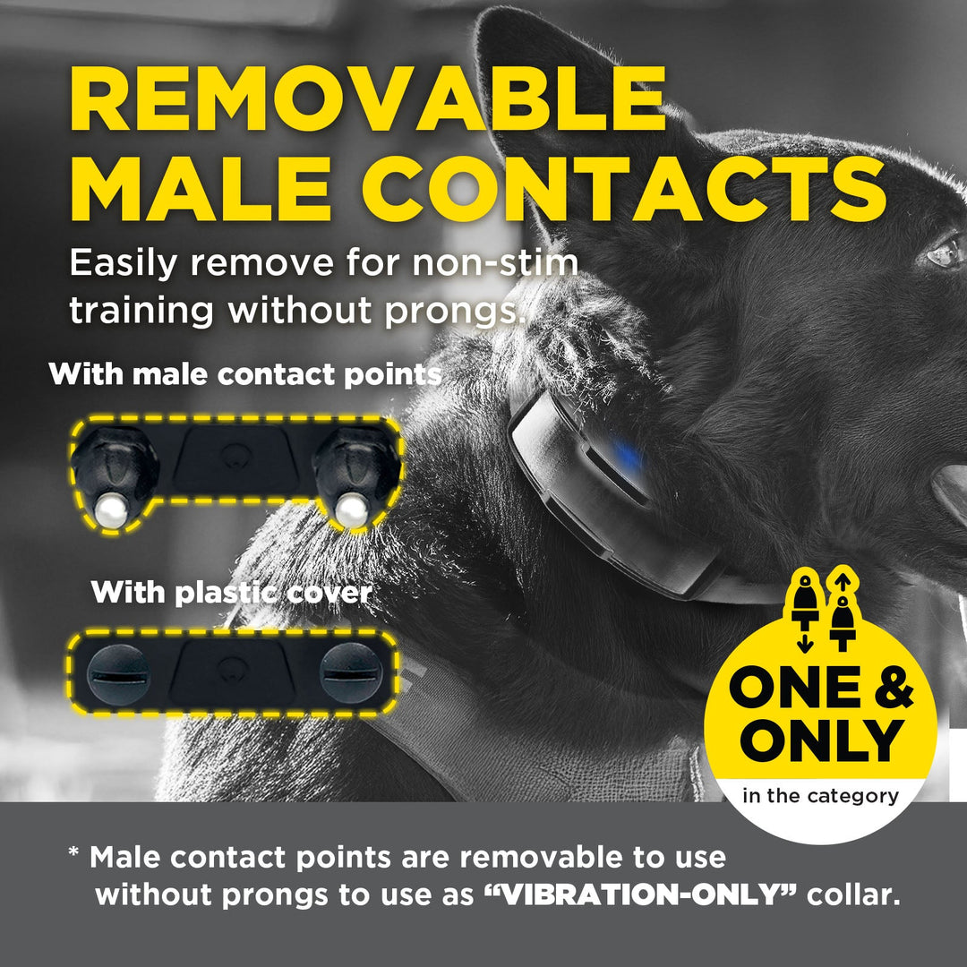 Dogtra 1900X Black Edition Additional Receiver - - by Dogtra