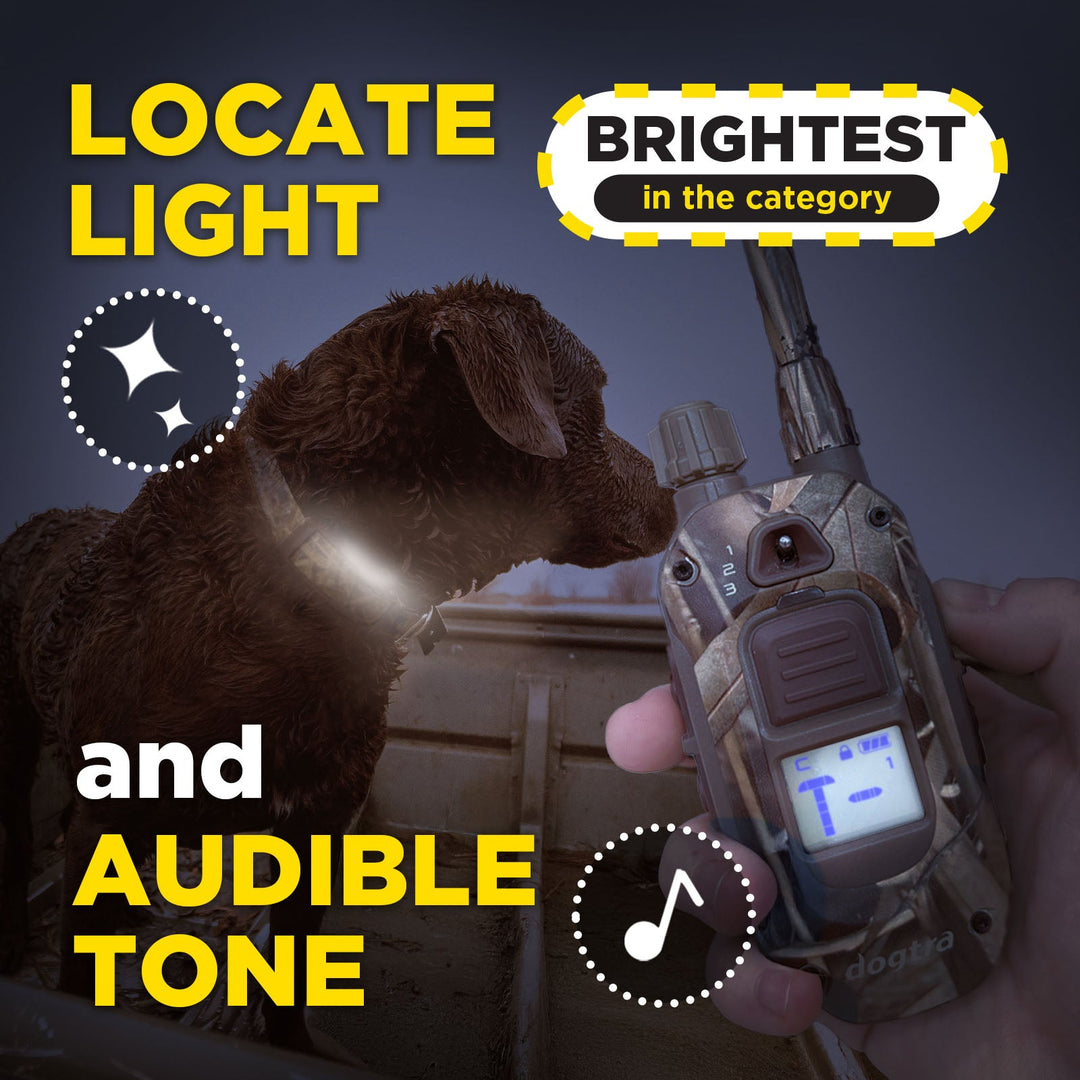 Dogtra 1900X Camouflage 1-Dog Unit E-Collar - - by Dogtra