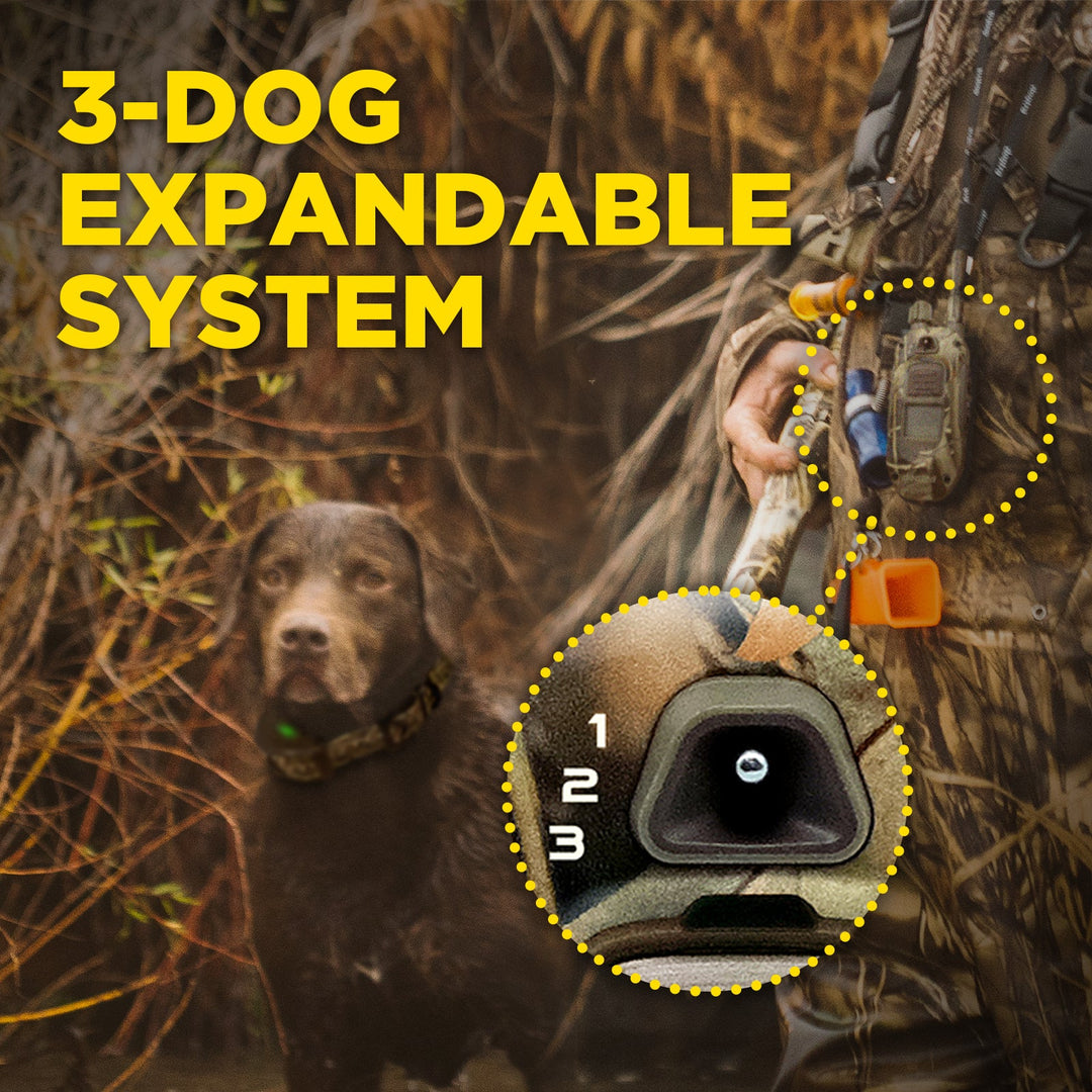 Dogtra 1900X Camouflage 1-Dog Unit E-Collar - - by Dogtra