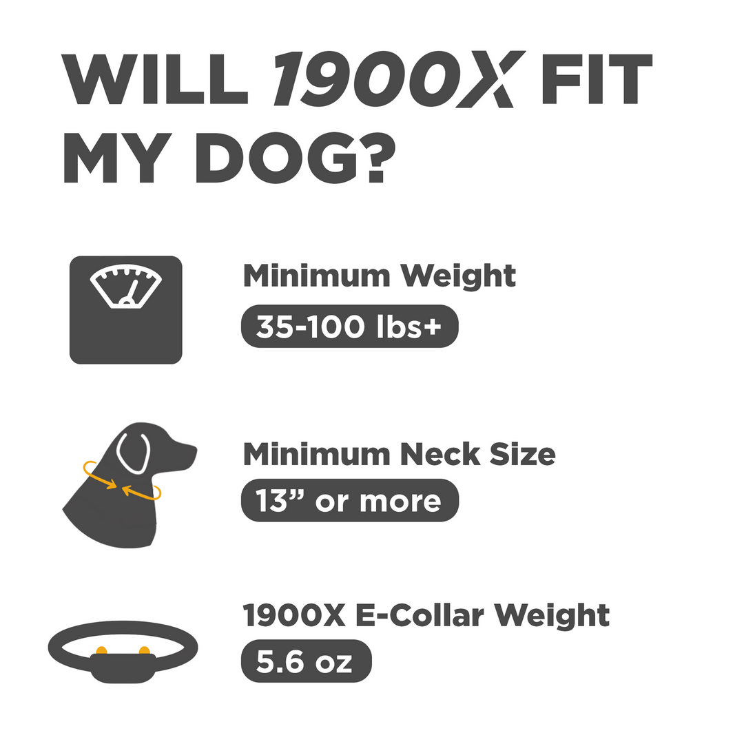 Dogtra 1900X Additional Receiver - - by Dogtra