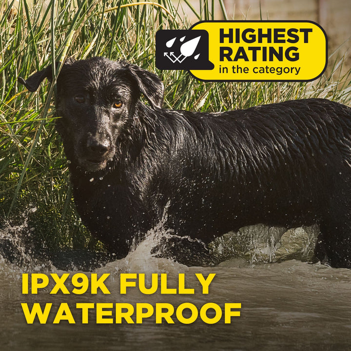 Dogtra 1900X 1-Dog Unit E-Collar - - by Dogtra