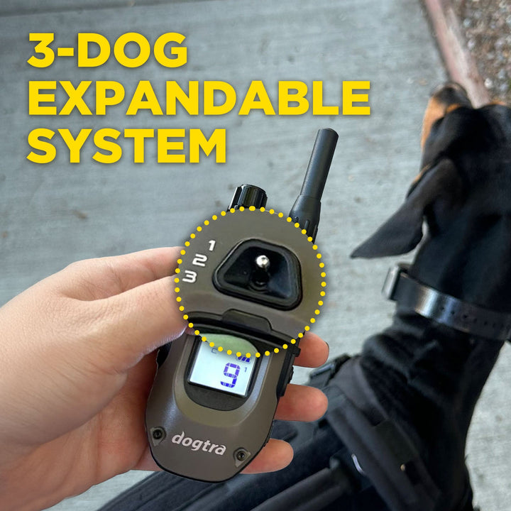 Dogtra 1900X 1-Dog Unit E-Collar - - by Dogtra