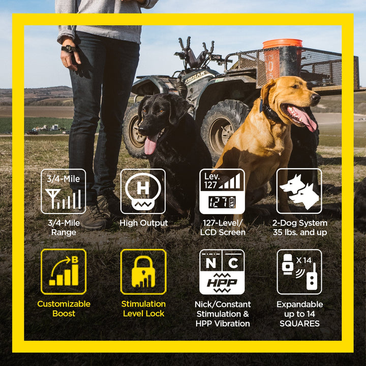 Dogtra 1902S Handsfree Plus Boost & Lock E-Collar - - by Dogtra