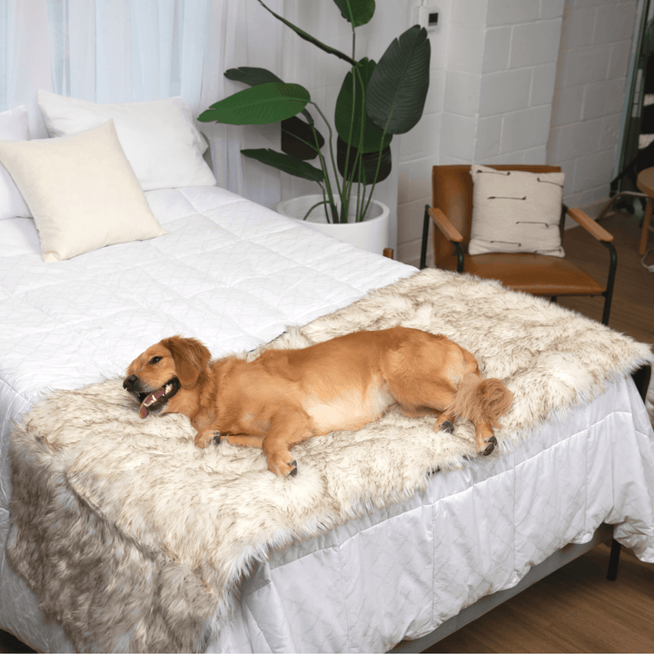 PupProtector™ Waterproof Bed Runner - White with Brown Accents - - Dog Blanket by Paw.com