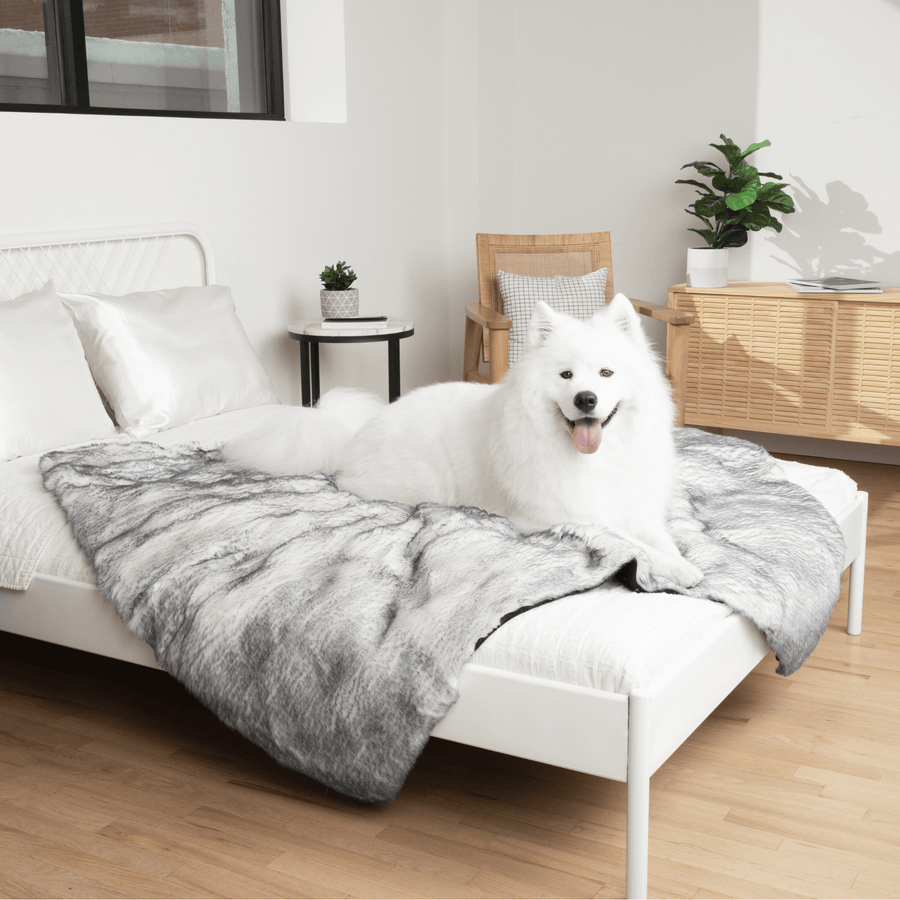 PupProtector™ Luxe Waterproof Faux Fur Blanket - Ultra Plush Arctic Fox - Original (60"L x 50"W) - Dog Blanket by Paw.com