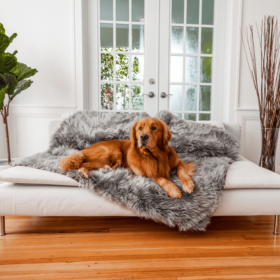 PupProtector™ Waterproof Throw Blanket - Charcoal Grey - Original (60"L x 50"W) - Dog Blanket by Paw.com