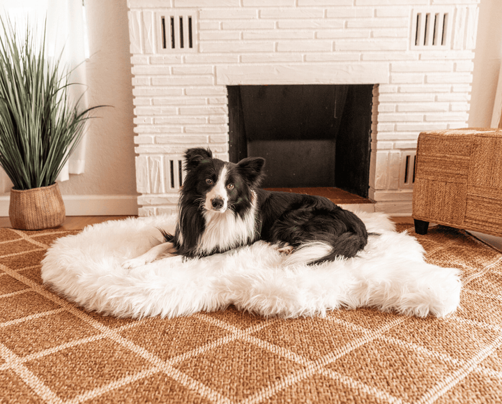 PupRug by Paw.com® Faux Fur Orthopedic Dog Bed - Curve Polar White - Giant (60" L x 35" W) - Dog Beds by Paw.com